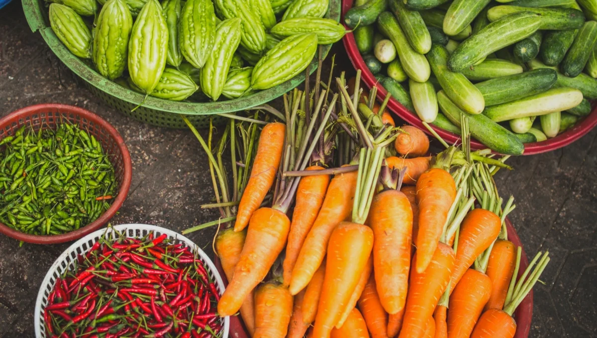 Optimized-Food-System-6.jpg