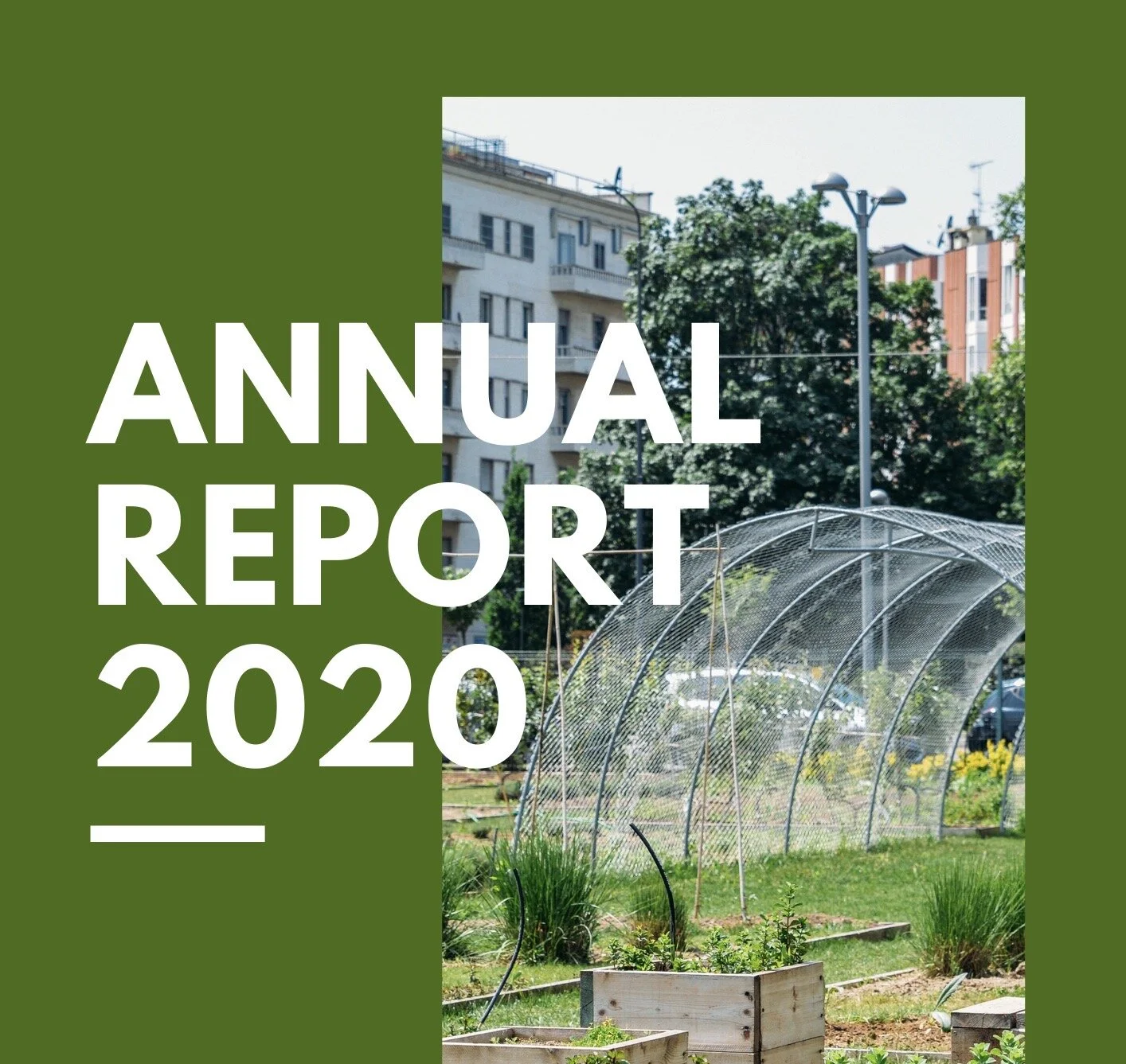 2020 Annual Report