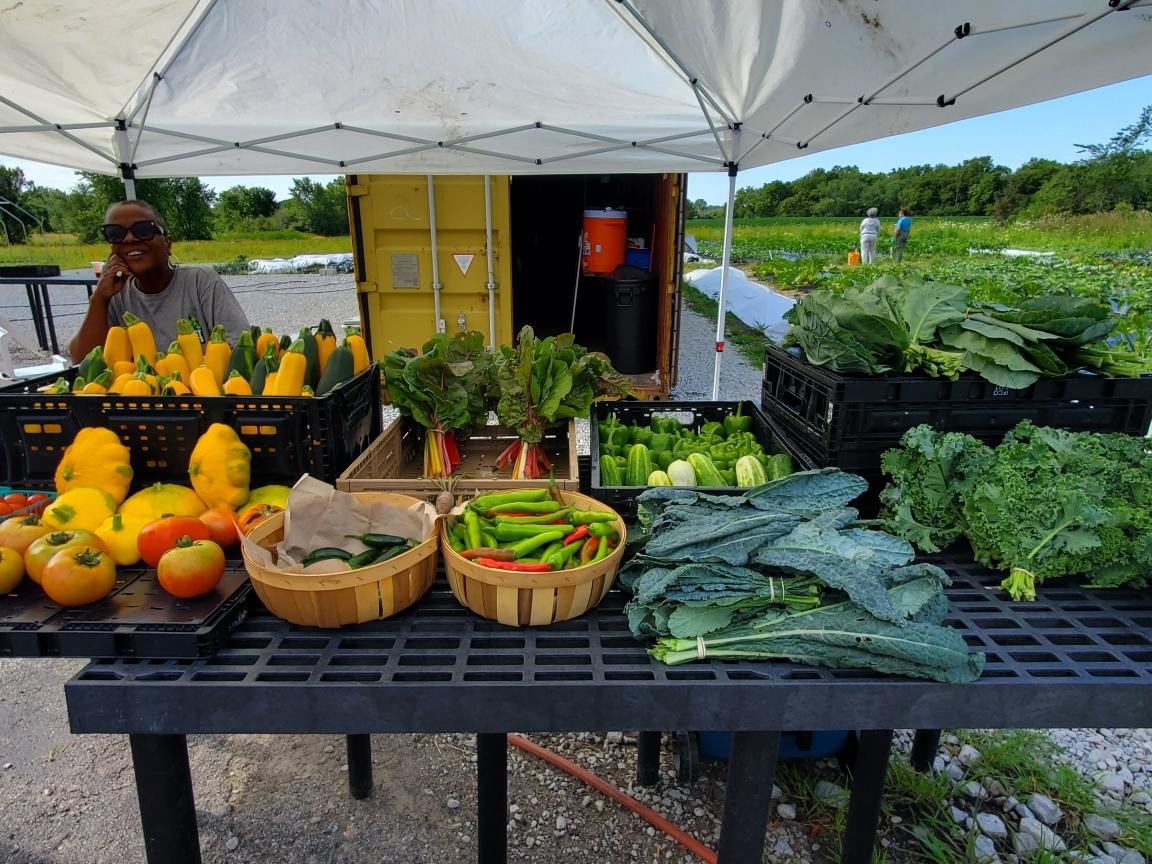  Produce is on display from the It Takes a Village Farm. Grace United Church established the farm in 2019 in partnership with Just Roots Chicago. 