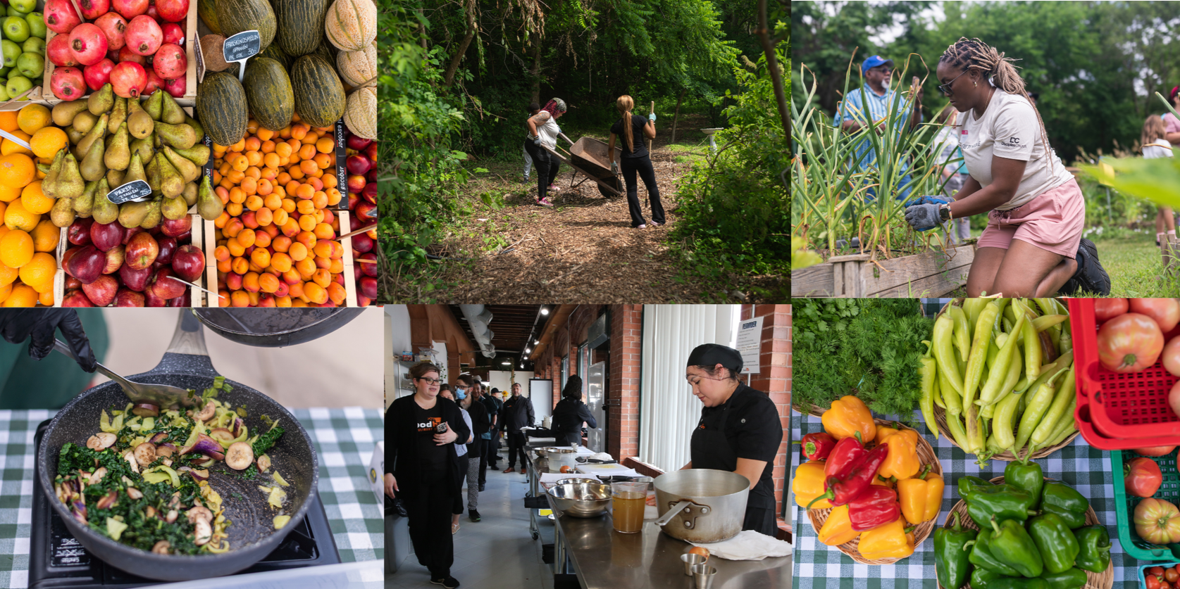 Local Farms and Food Businesses Receive Nearly $500,000 in Grants to Help Make Metro Chicago Food System More Equitable