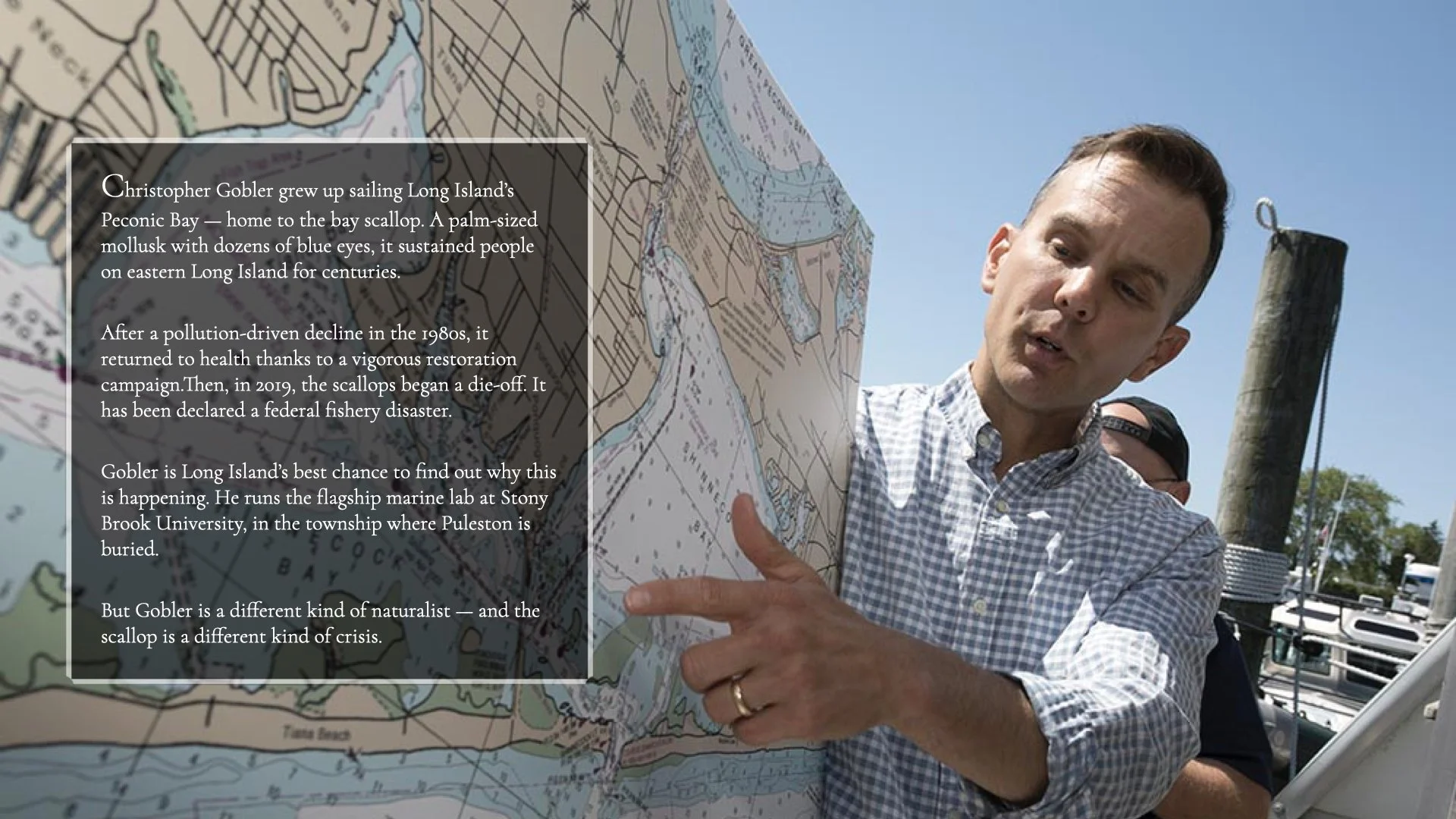 Consider the Scallop_v3.010.jpeg