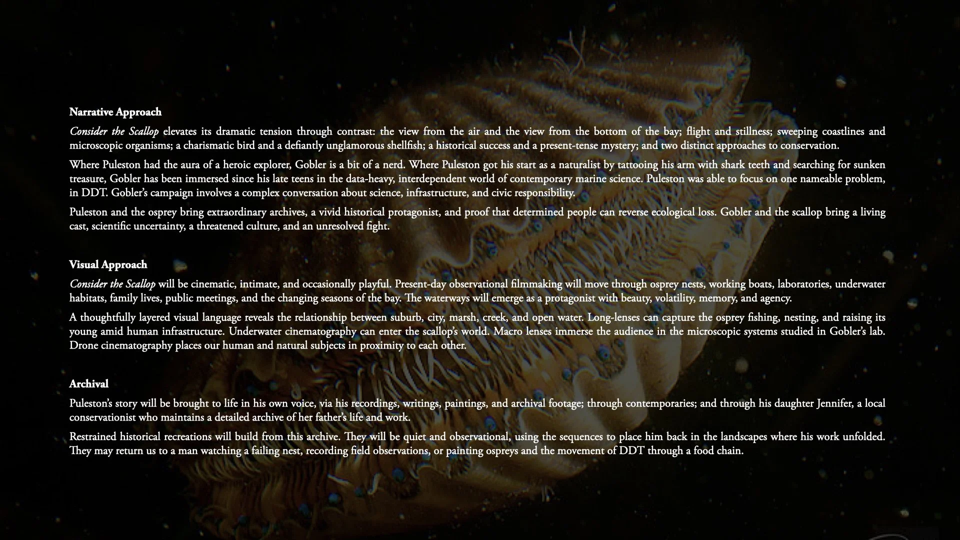 Consider the Scallop_v3.017.jpeg