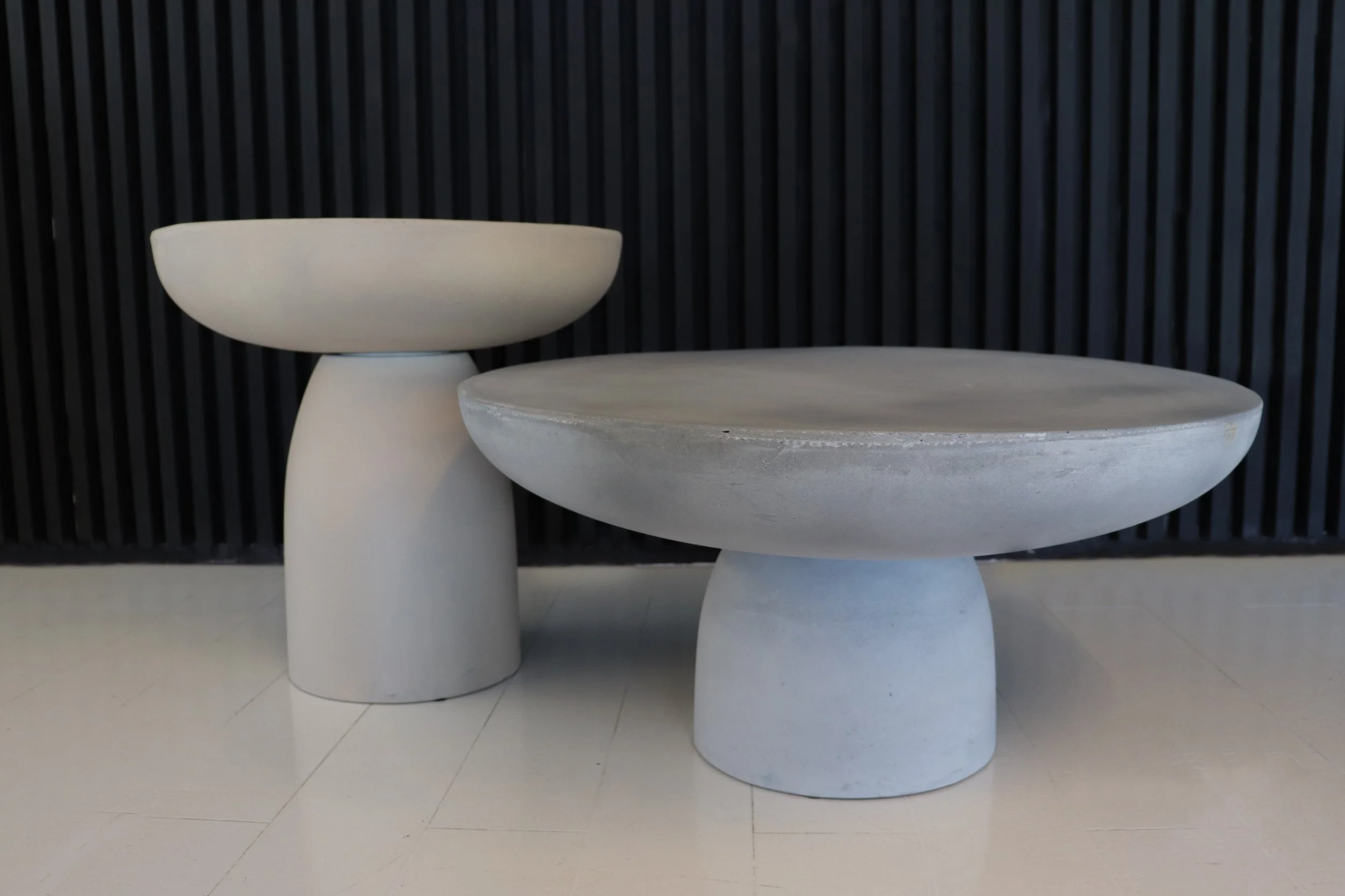 POLLY HERO PICTURE.jpg