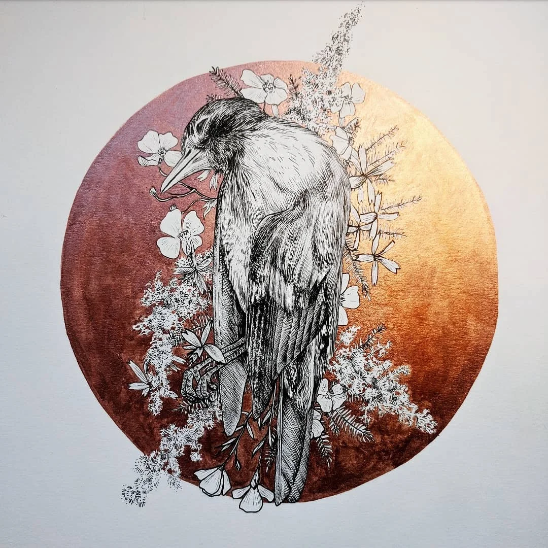 Afterlife: American Robin