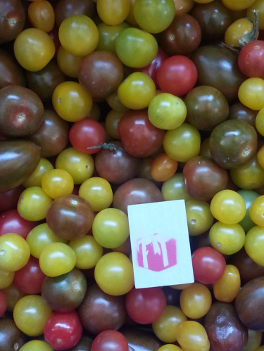 Amsterdam, Netherlands 