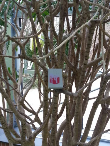 Amsterdam, Netherlands