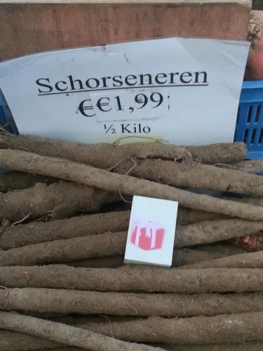  Amsterdam, Netherlands 