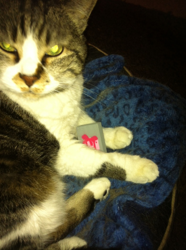 Amsterdam, Netherlands 