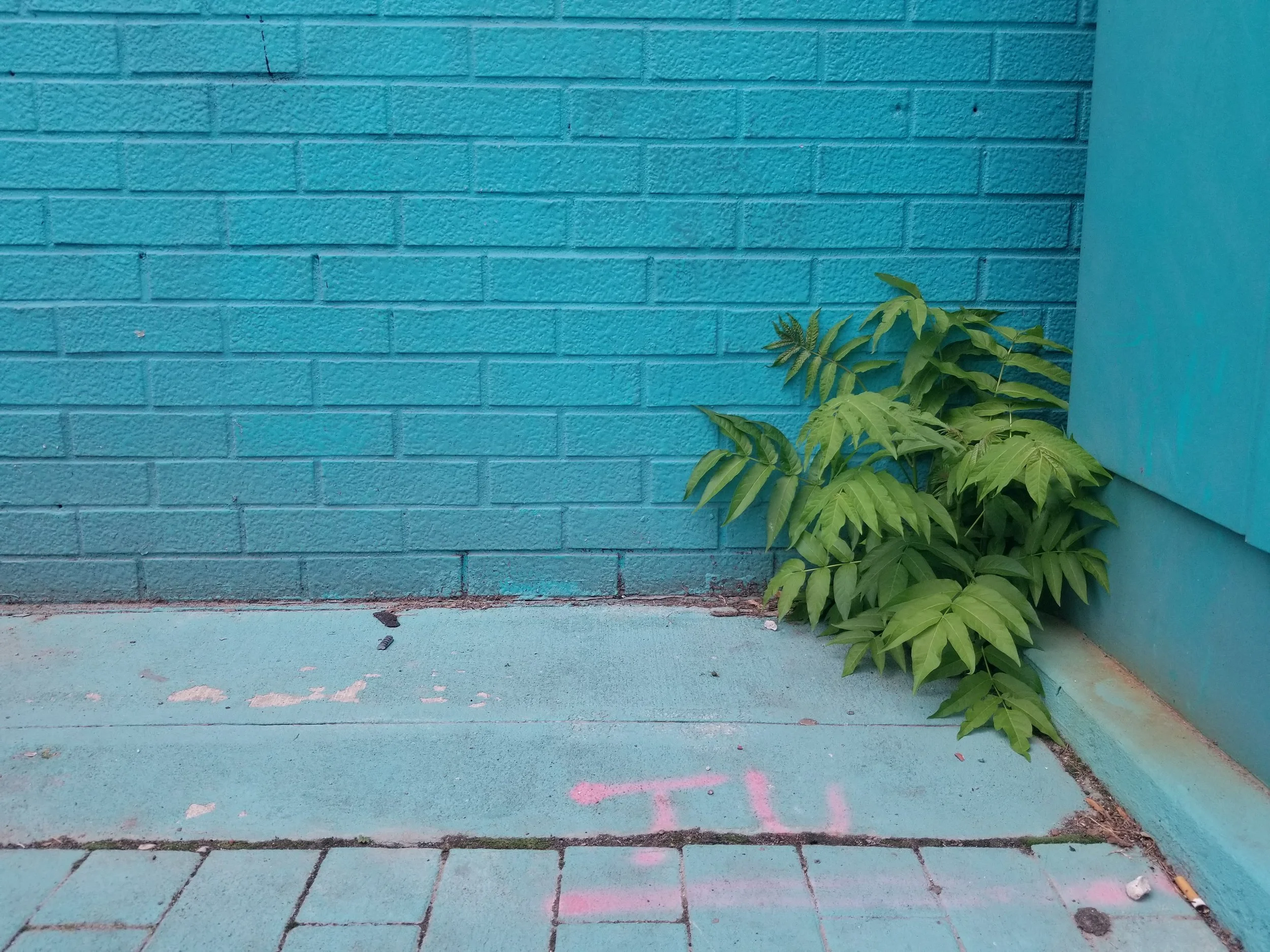 blue green.jpg
