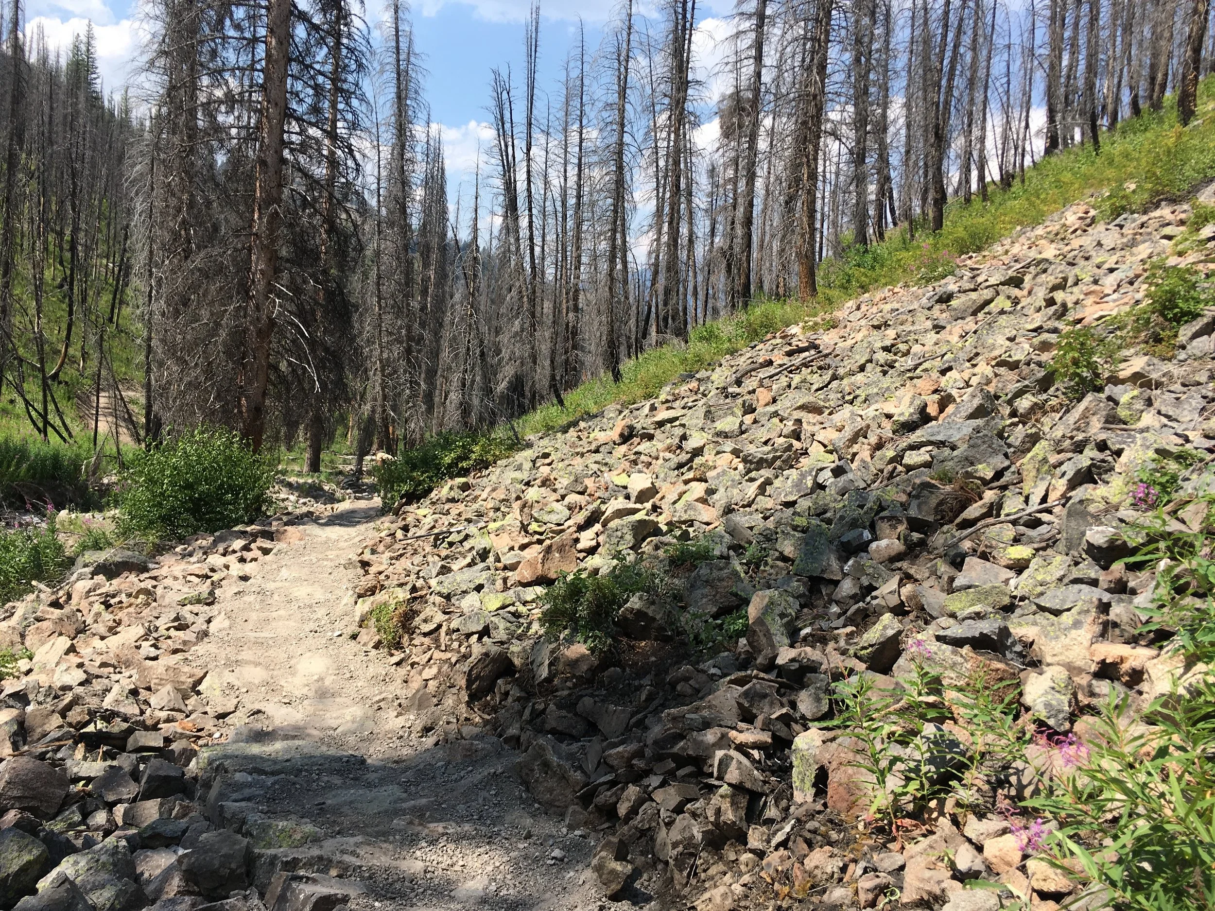 Alden gulch