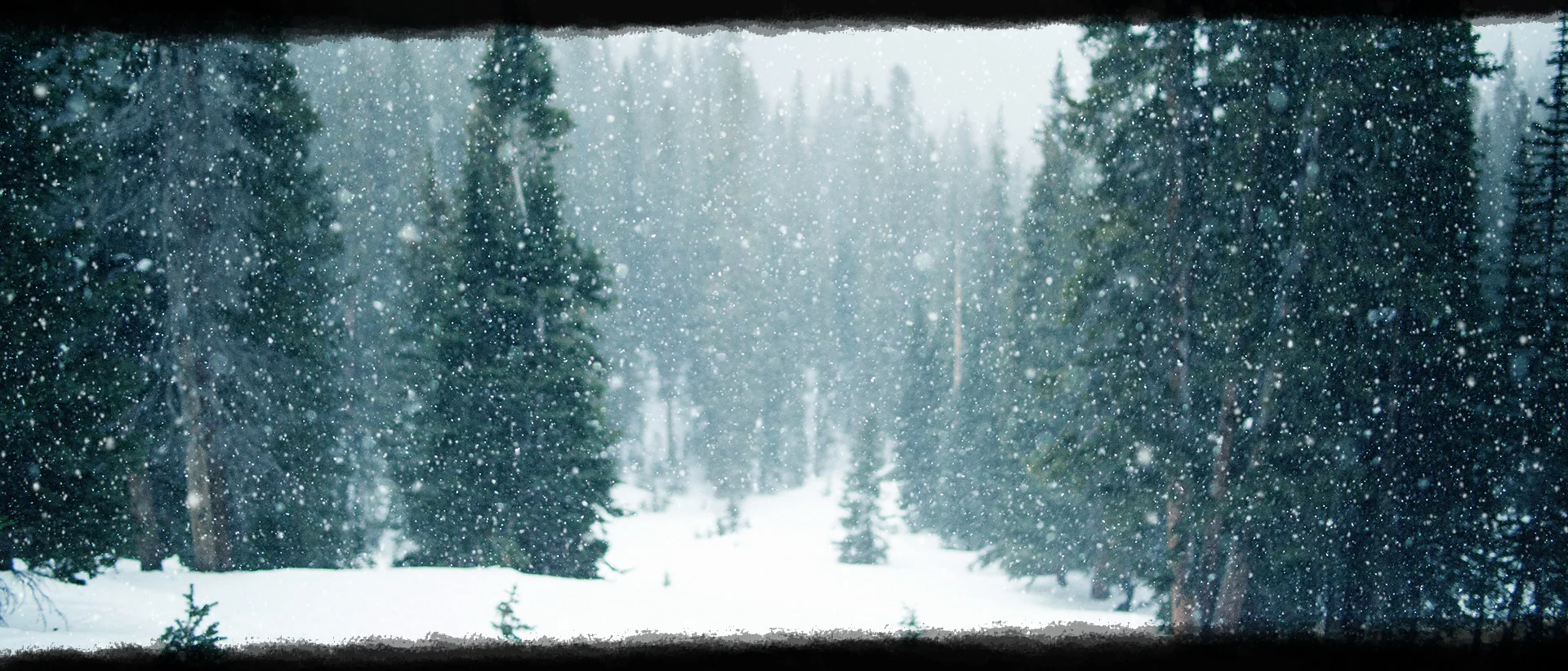 Snowfall
