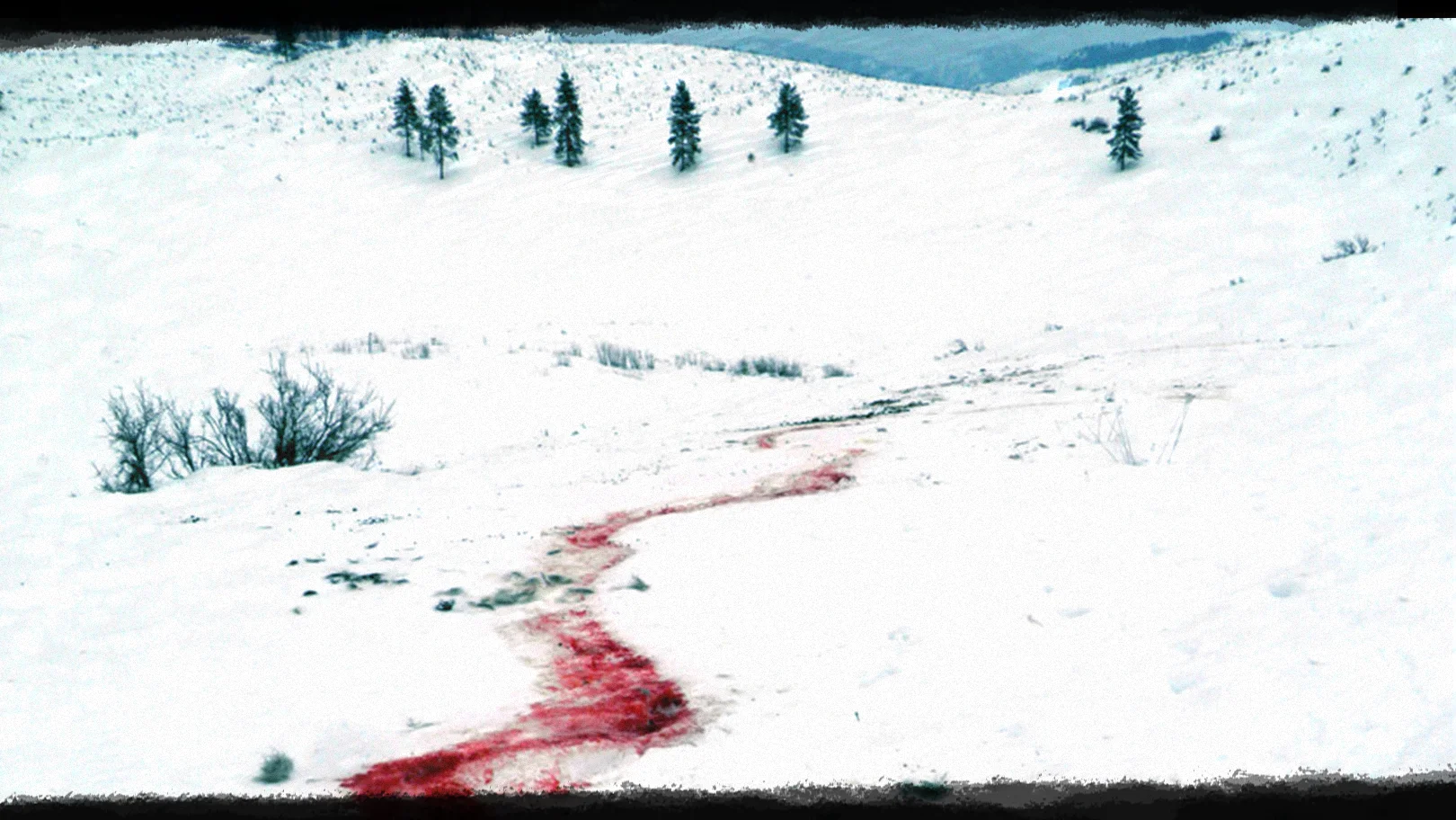 Blood Trails