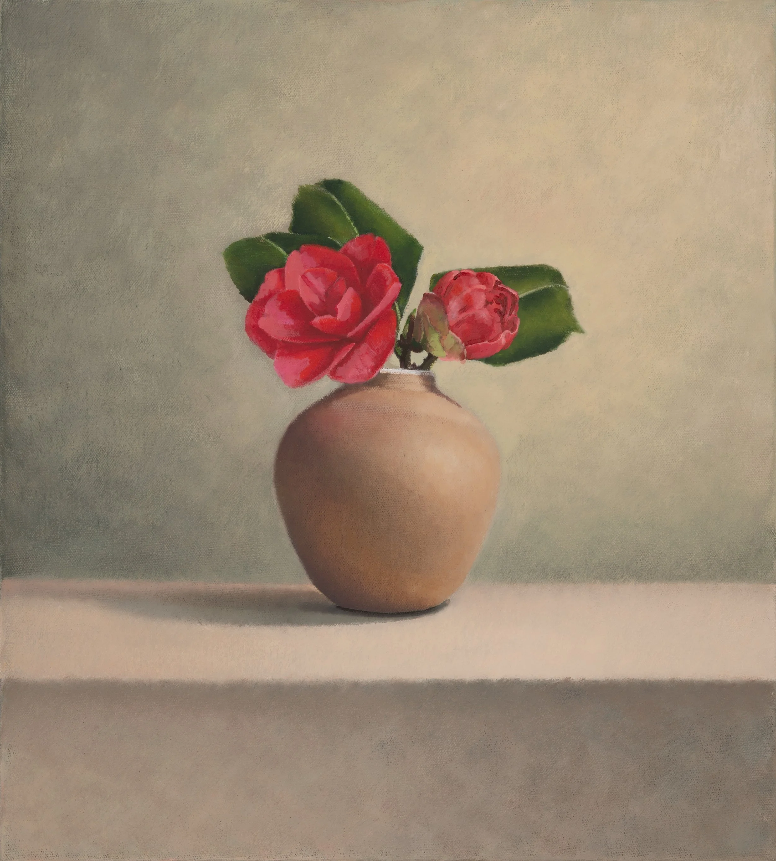 Camelias | oil on canvas | 50 x 55cm