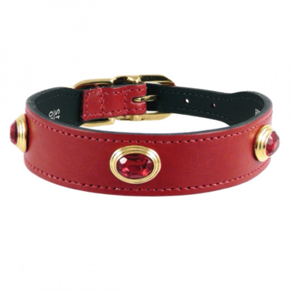 ruby red dog collar