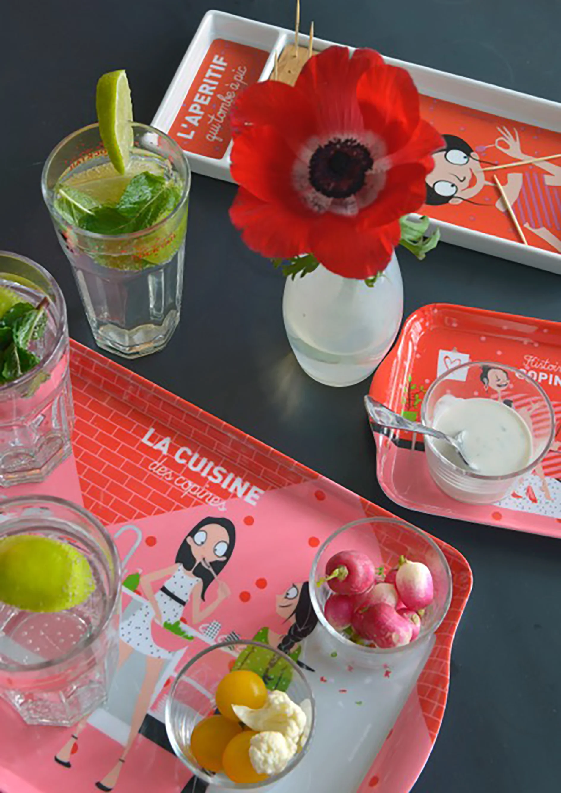 Illustratrice d'objets pour la maison - Surface pattern designer