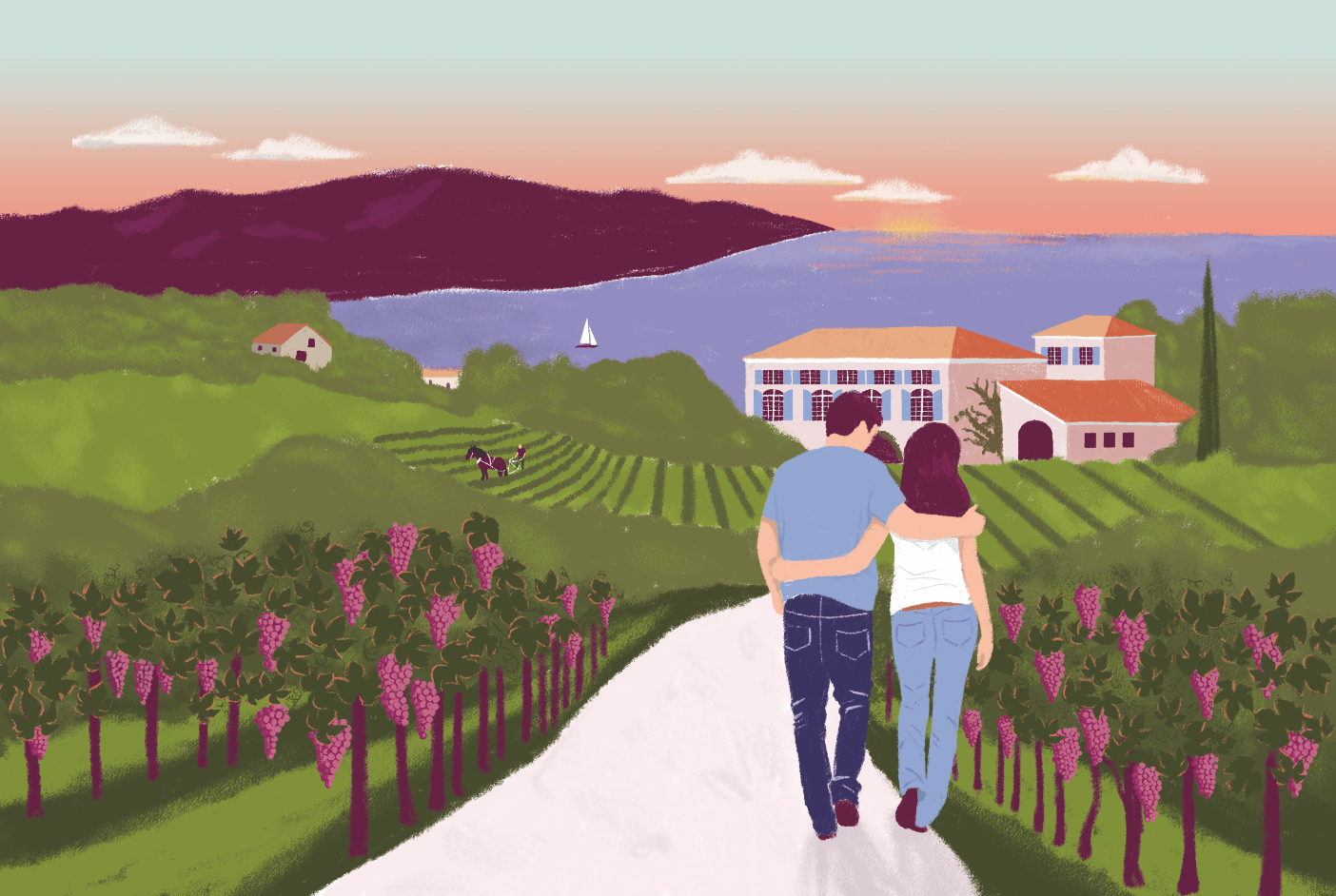 Création illustration couverture Guide de l’hospitalité vigneronne - illustratrice éditoriale freelance Lyon France