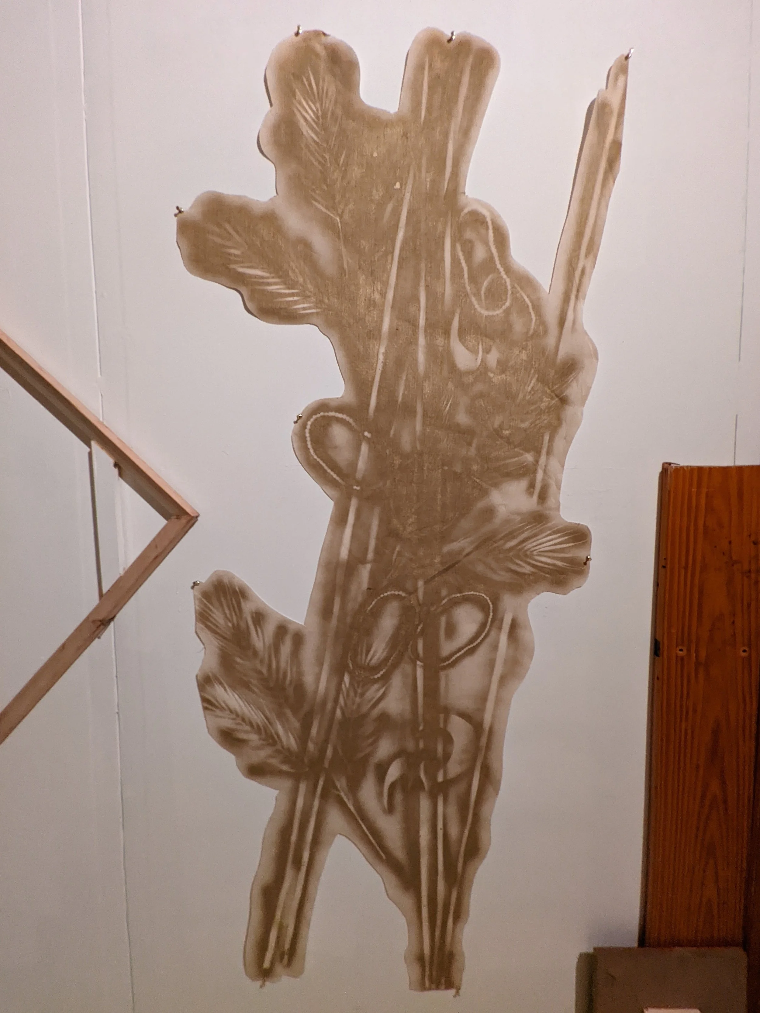 PXL_20221211_022416923.jpg