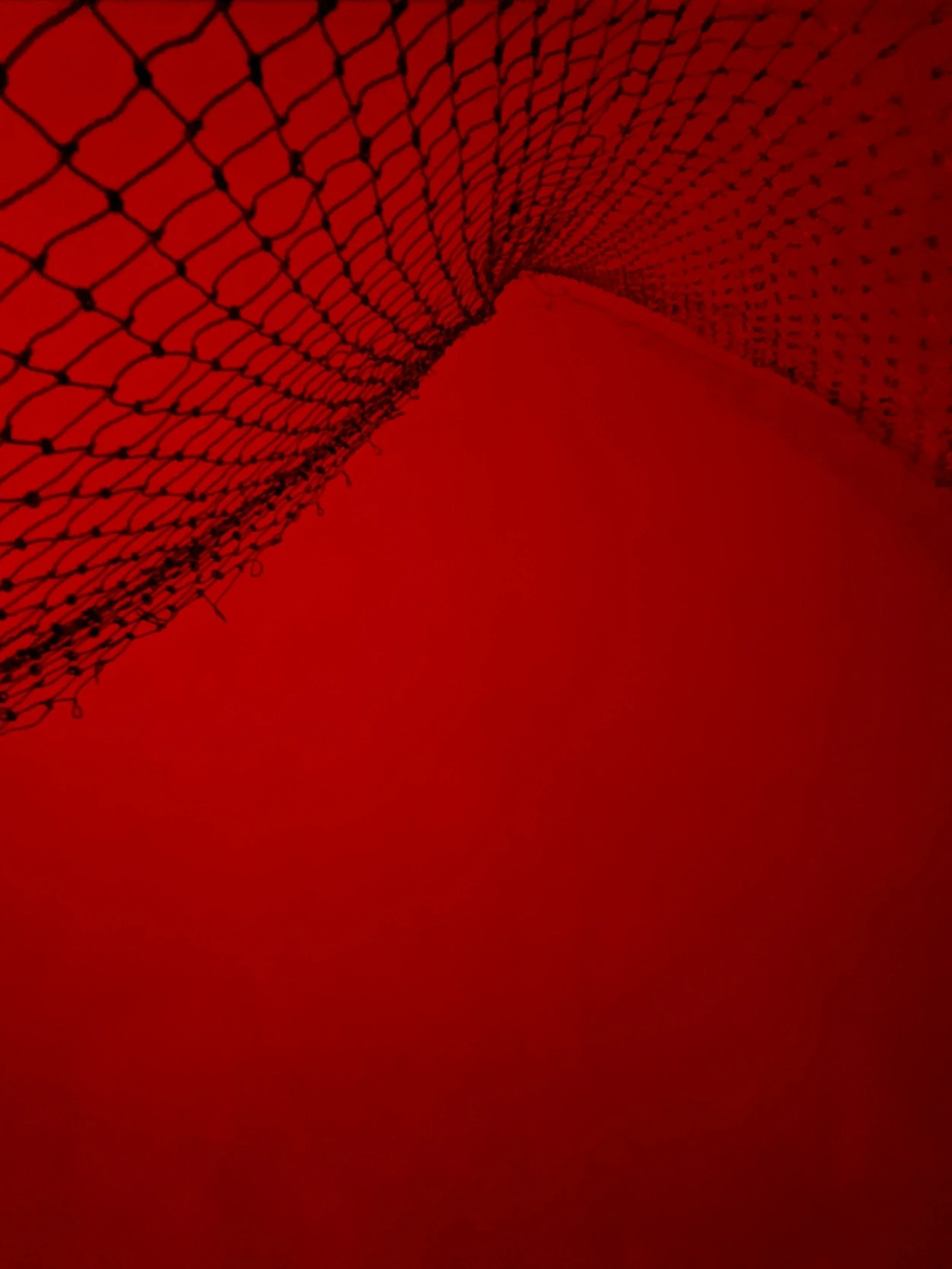 PXL_20221211_024452596.jpg