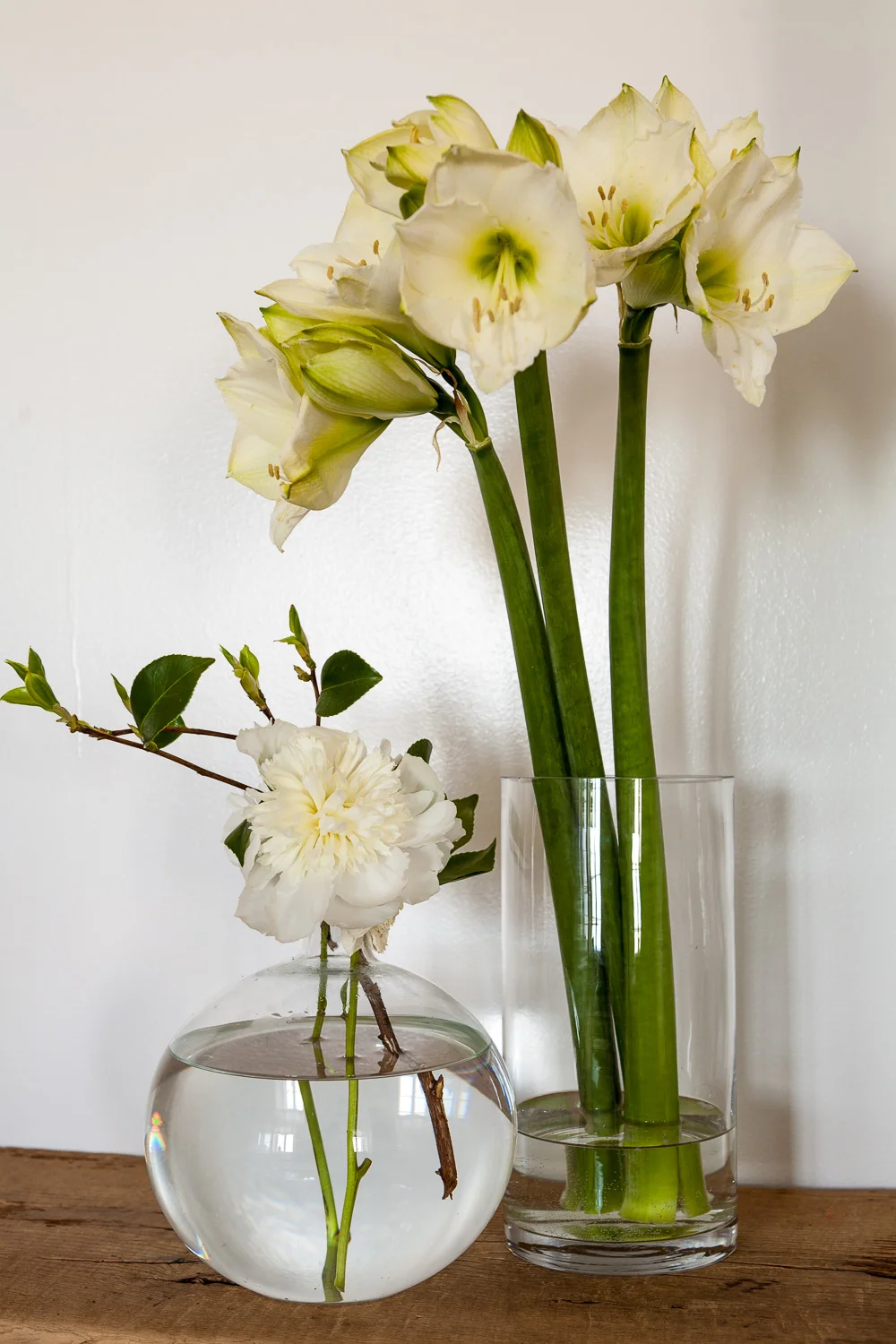 2013_MDP_LFSH--12.jpg