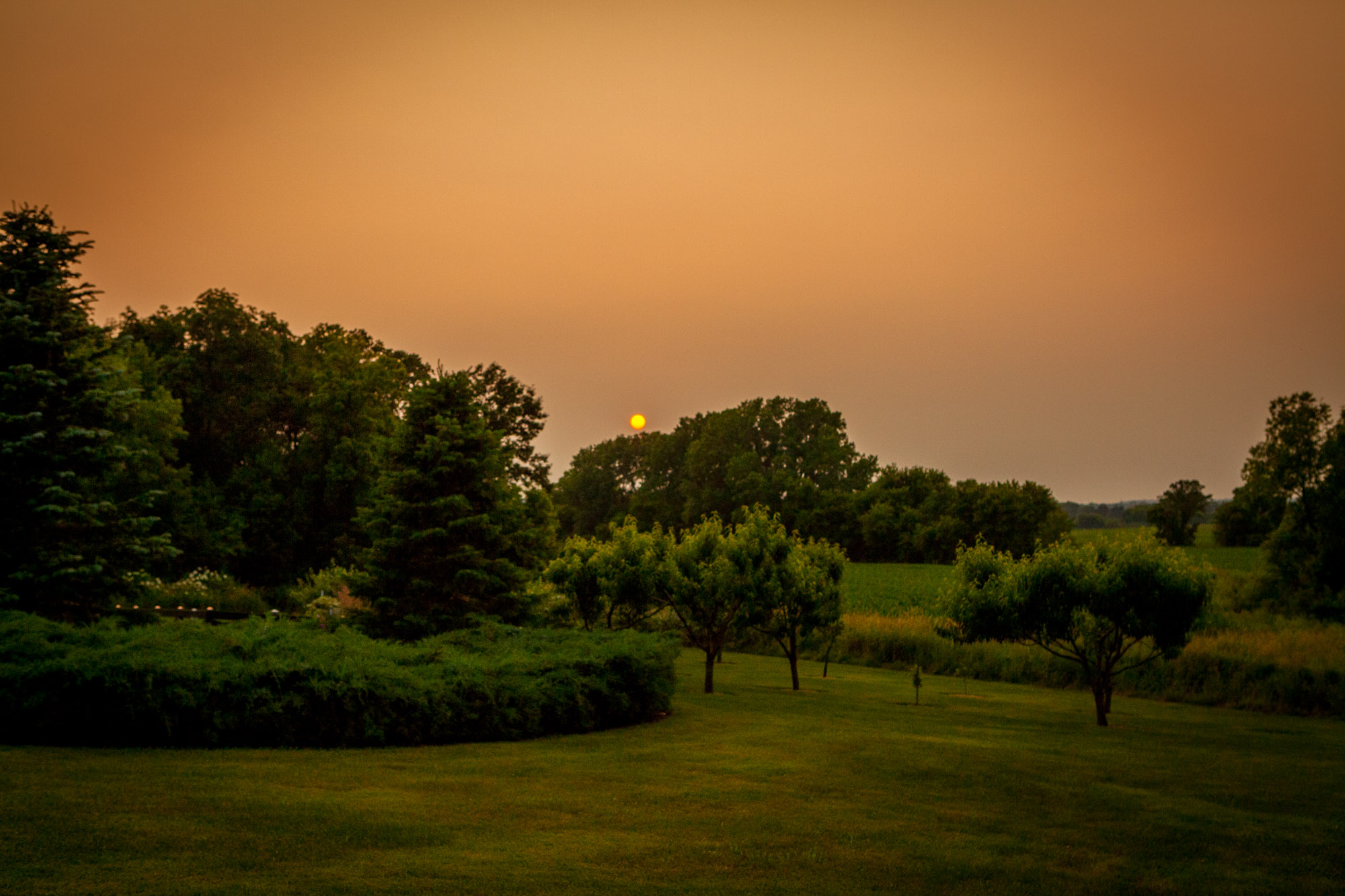 2015_07_04_WalkerSimmons-0384-1.jpg