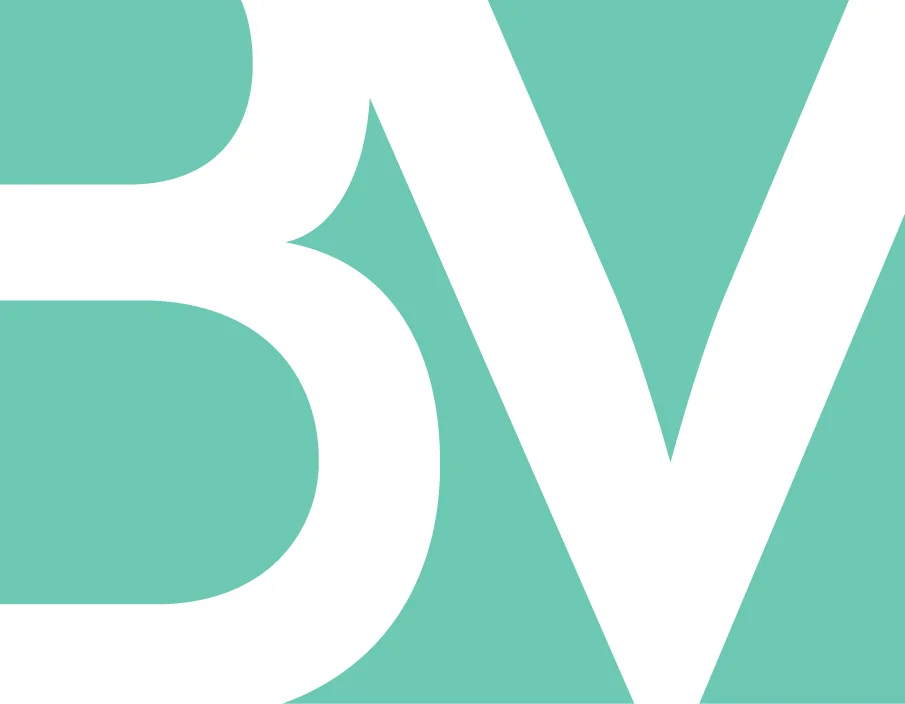 BigVision-BV_Mark-Teal.jpg