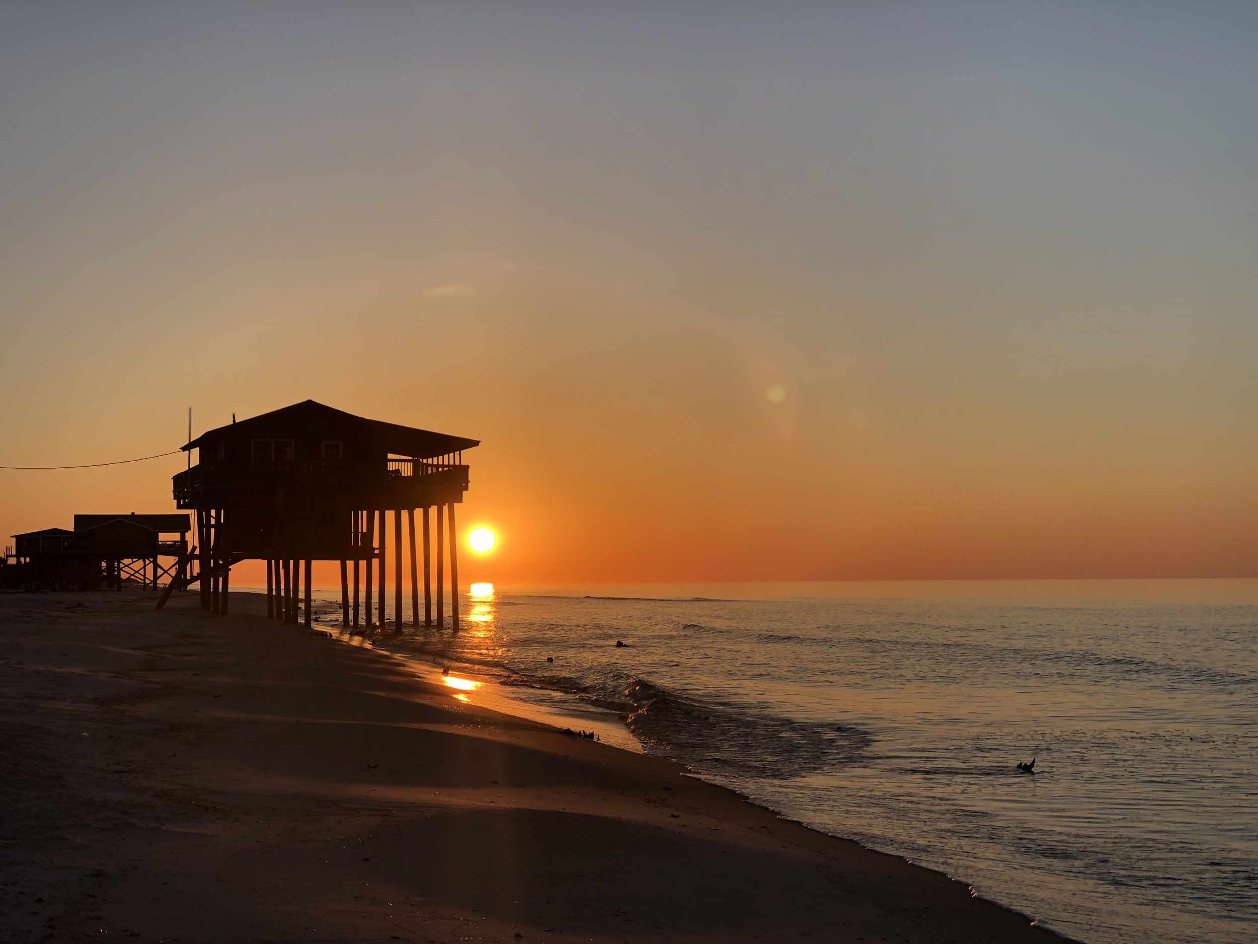 Dog Island, Florida