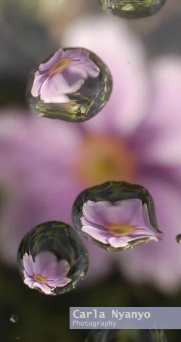 blobs-3.jpg