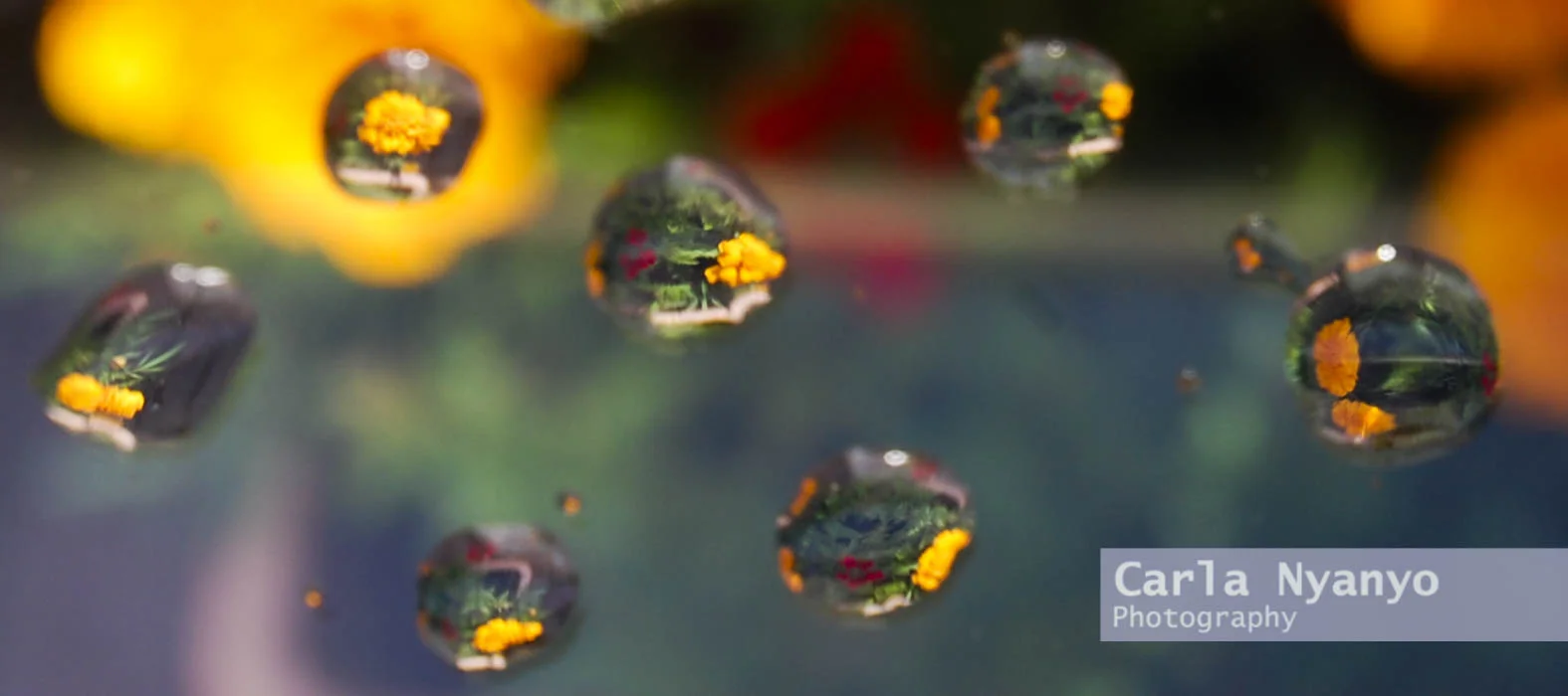 blobs-5.jpg