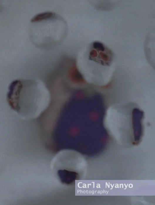 blobs-9.jpg