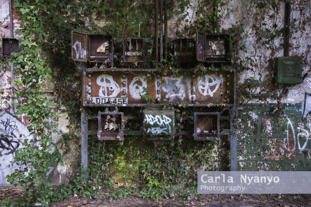 abandoned_munitions_factory-4.jpg