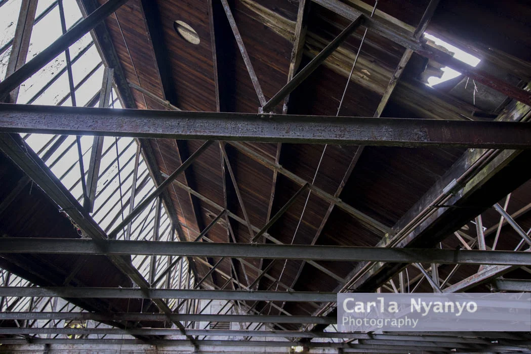 abandoned_munitions_factory-7.jpg