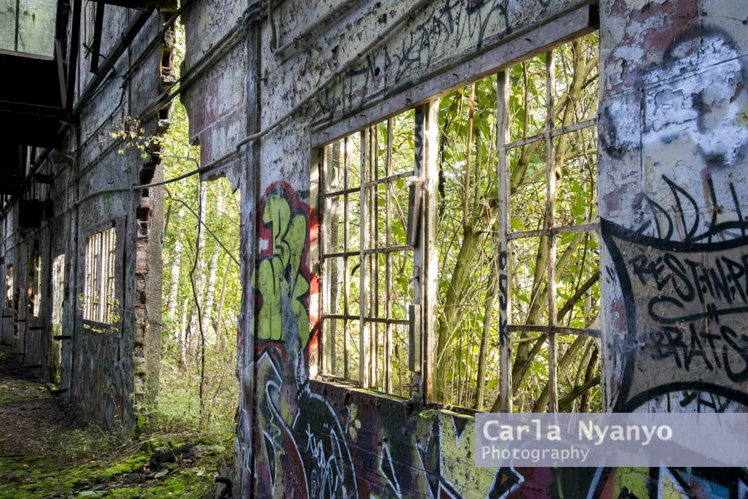 abandoned_munitions_factory-11.jpg