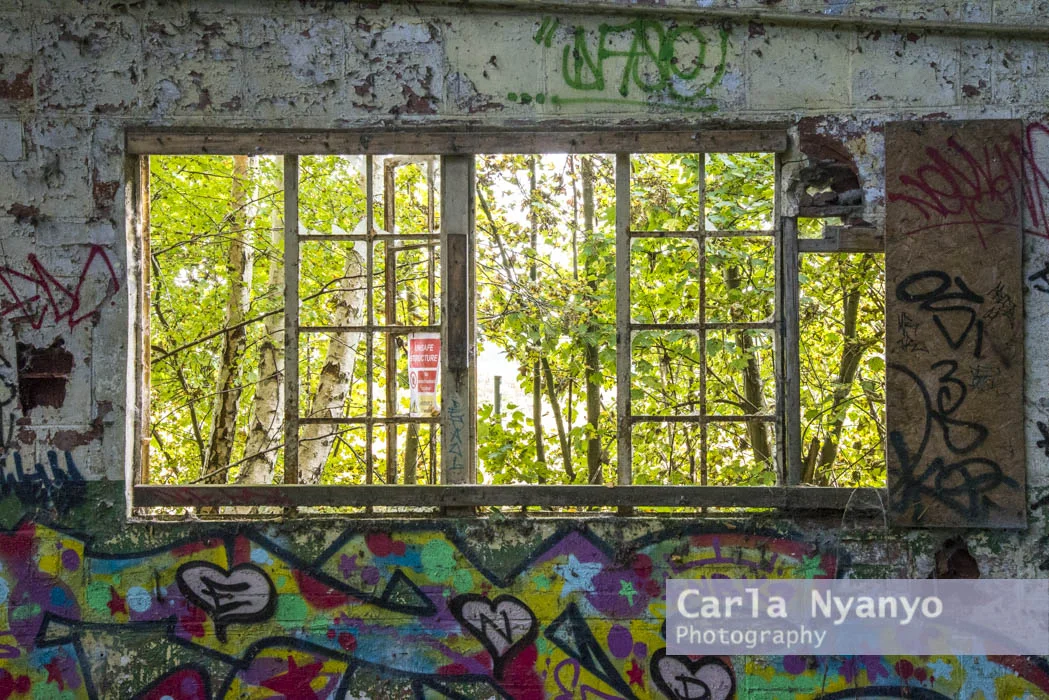 abandoned_munitions_factory-13.jpg
