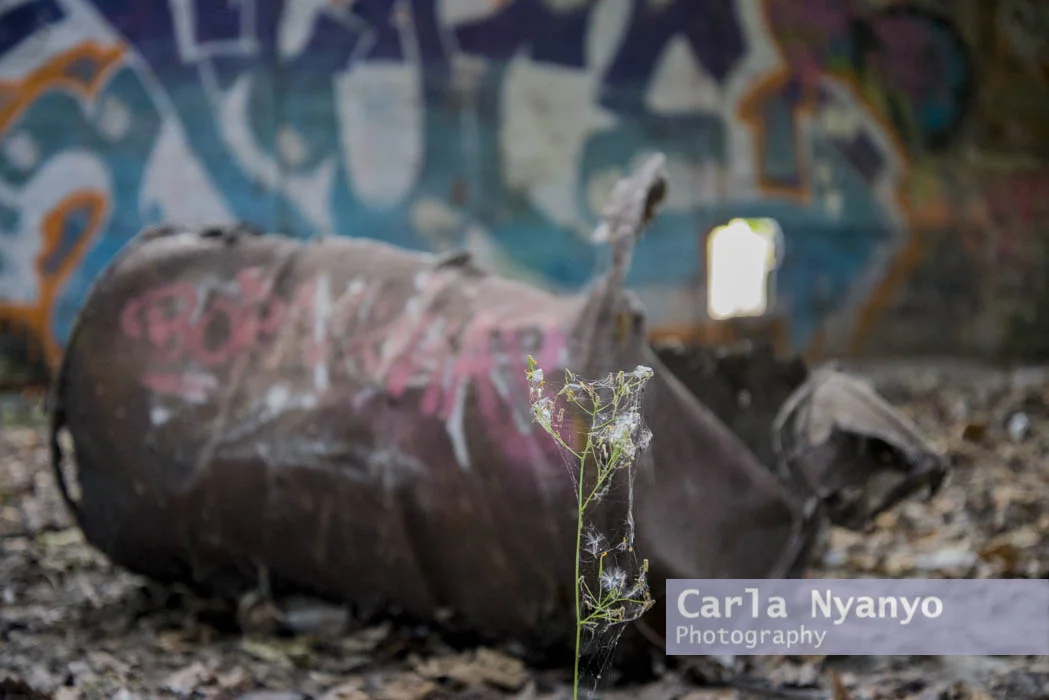 abandoned_munitions_factory-16.jpg