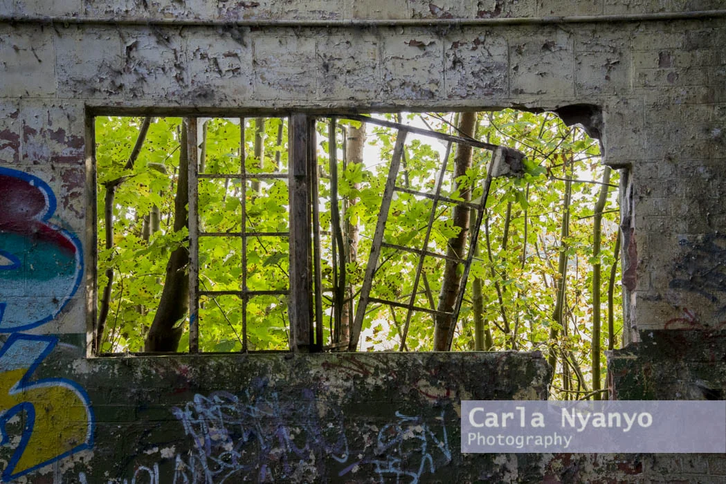 abandoned_munitions_factory-17.jpg