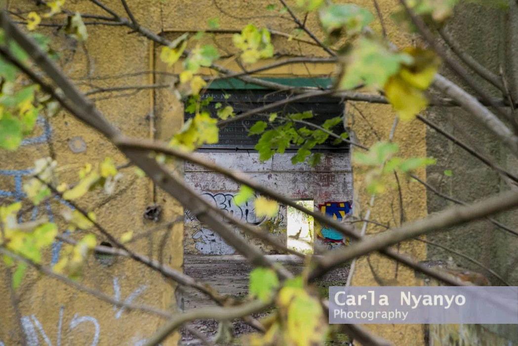 abandoned_munitions_factory-21.jpg