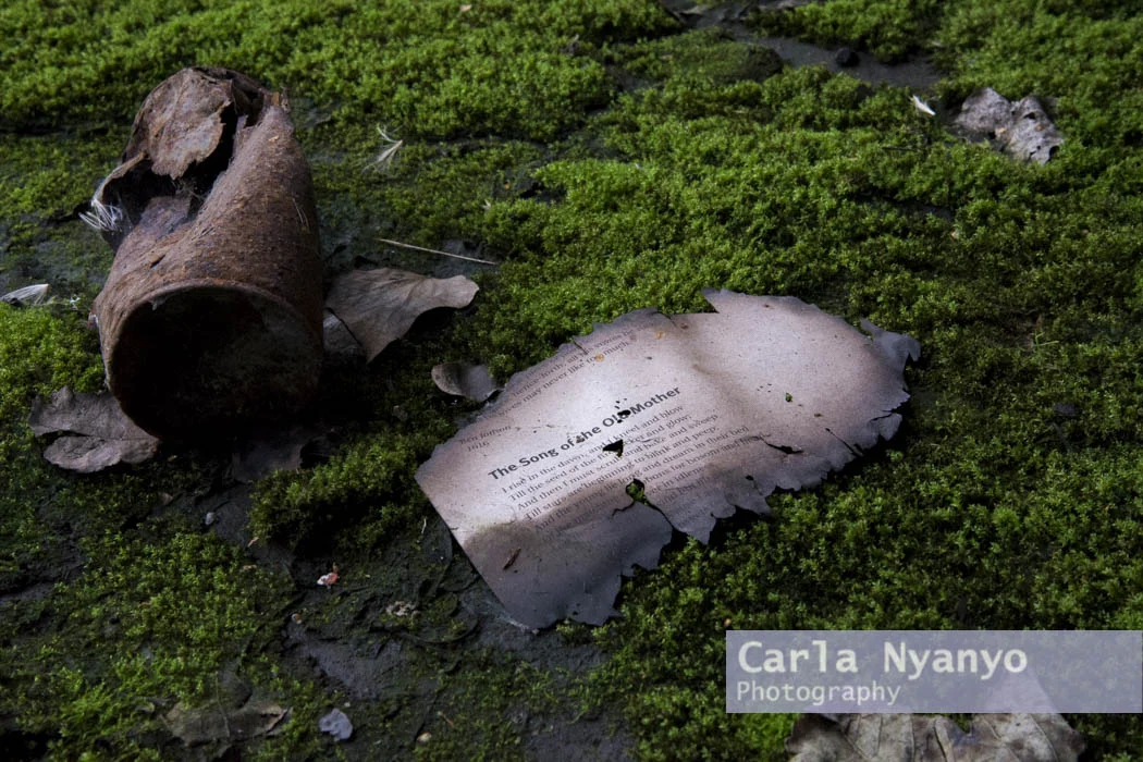 abandoned_munitions_factory-32.jpg