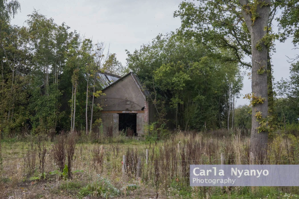 abandoned_munitions_factory-36.jpg