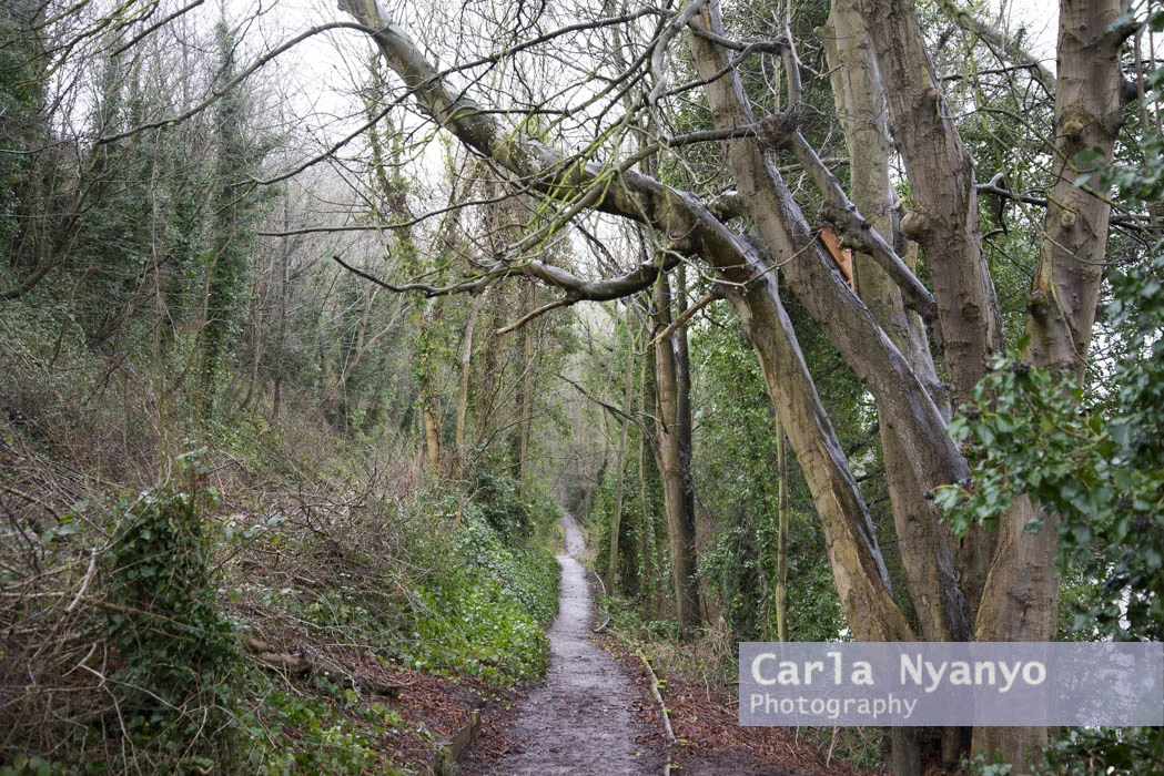 hay_on_wye-11.jpg