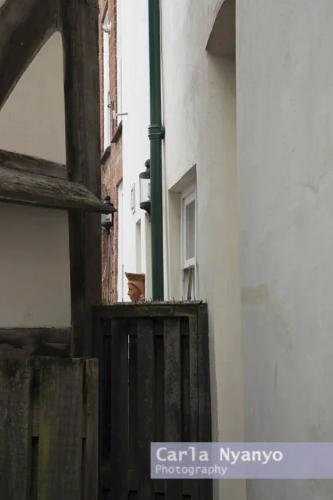 ledbury-13.jpg