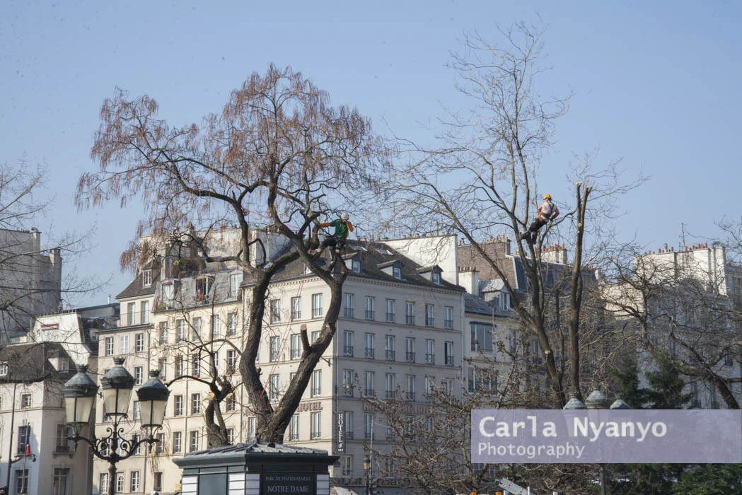 paris_2015-7.jpg