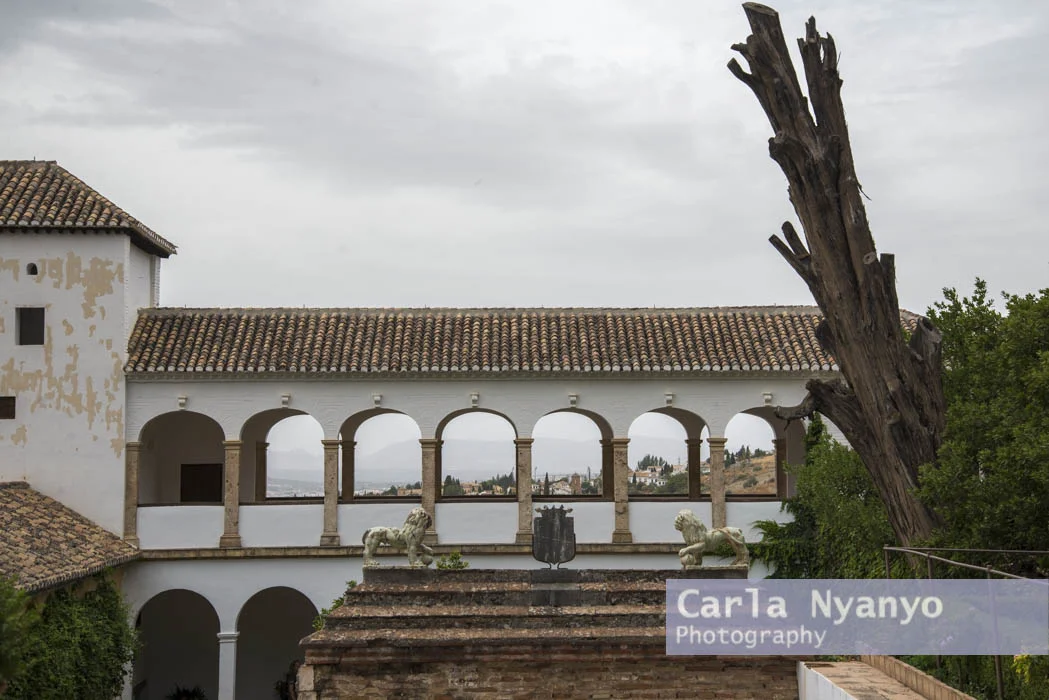el_alhambra-9.jpg