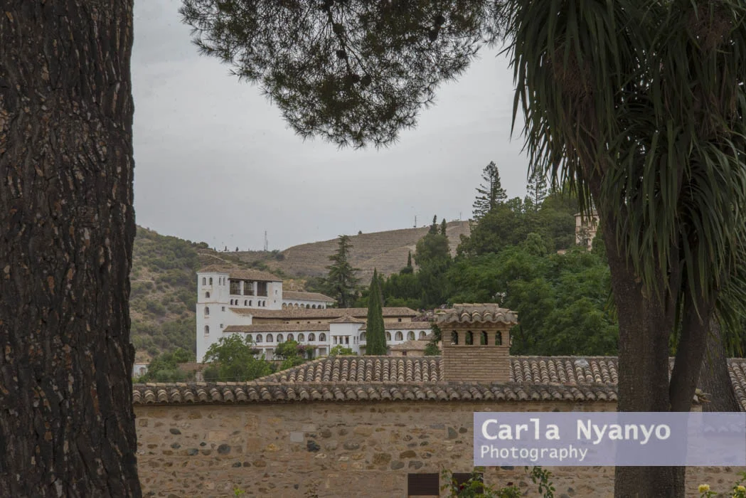 el_alhambra-12.jpg