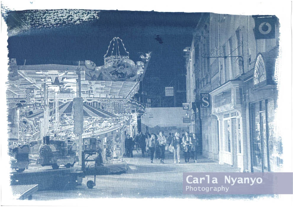 the_cyanotype_process.jpg