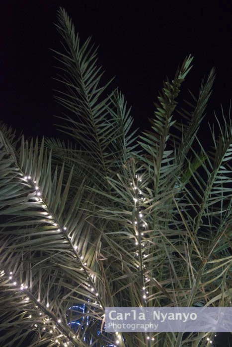 dubai_by_night-5.jpg