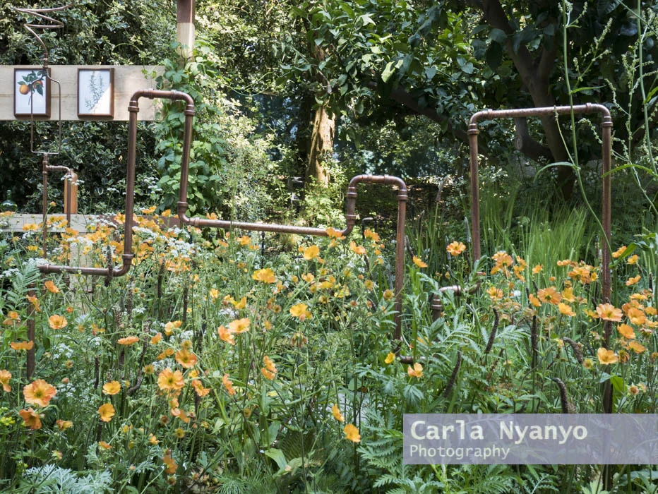 the_chelsea_flower_show_2017-13.jpg