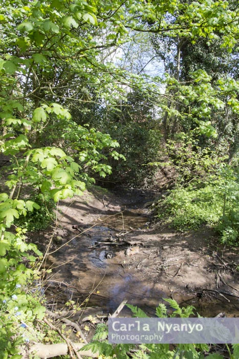 river_sherbourne-121.jpg