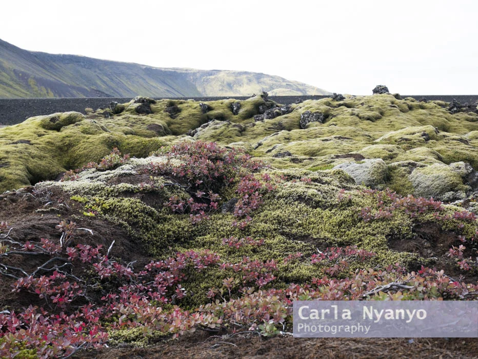 iceland_2017-33.jpg