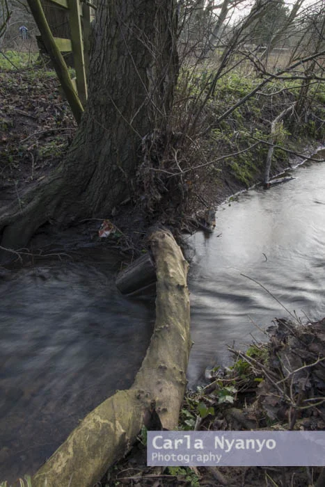 river_sherbourne-144.jpg