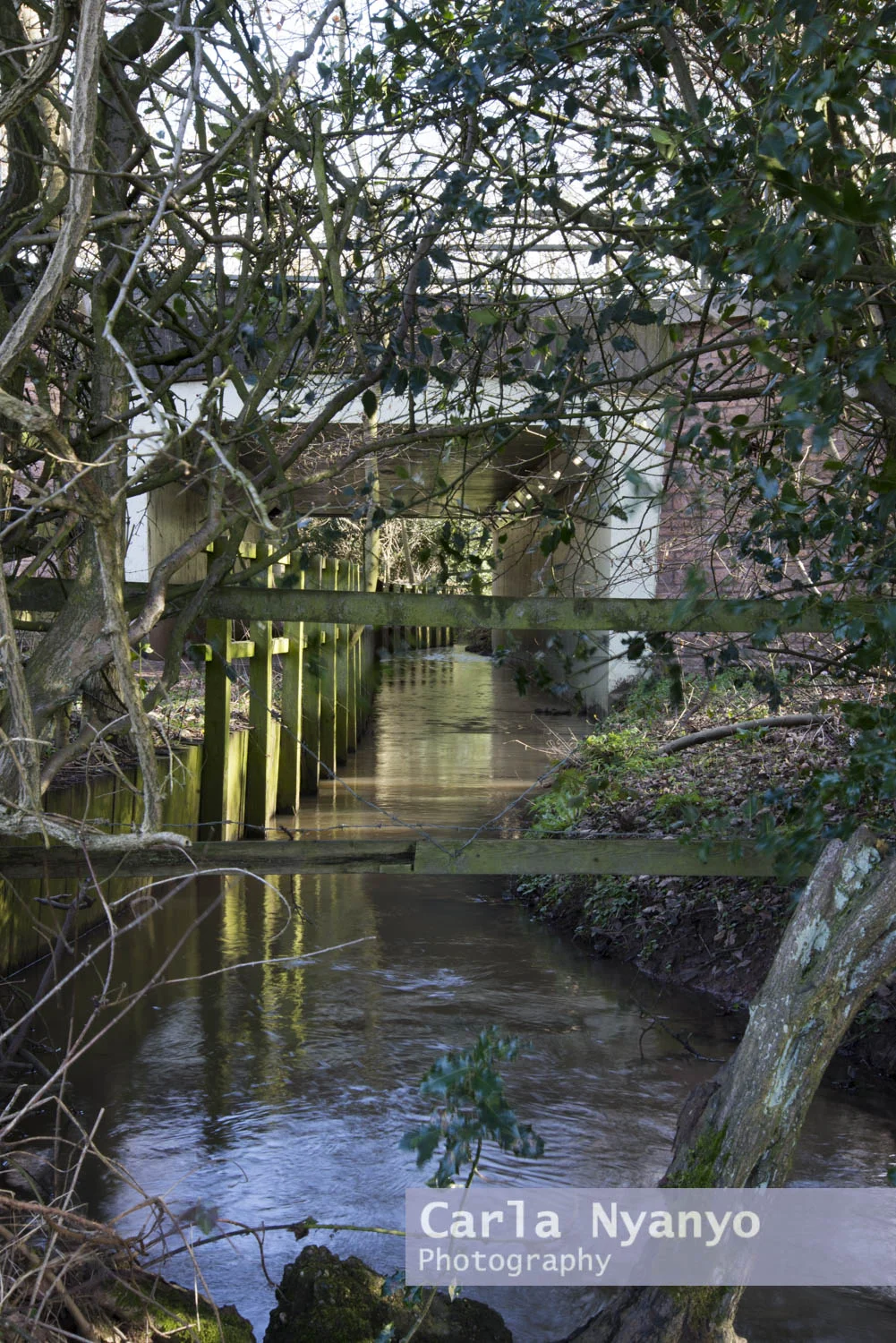 discovering_the_river_sherbourne-21.jpg